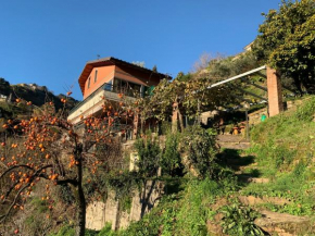 Villa Vigna Montignoso